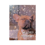 WE LOVE FRENCHIES!