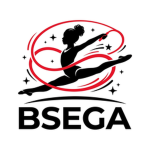 Beautiful Stars Elite Gymnastics Academy/BSEGA