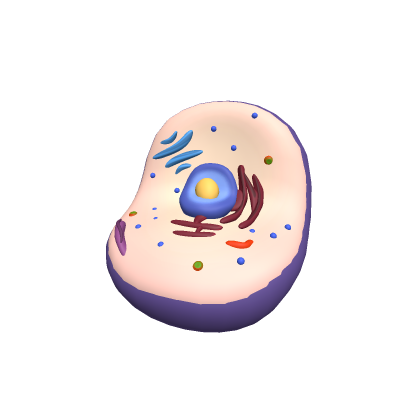 Eukaryotic Cell Rig