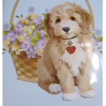 Gruppo di animaletti cute
