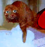 Looksmaxxing bri'ish peopl