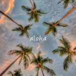 ~ Aloha Apparel & Co ~