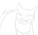CatonCatPaids Development