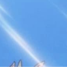 🐟