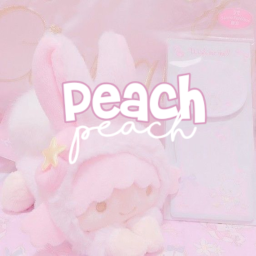 aesthetic peach clothing homestore