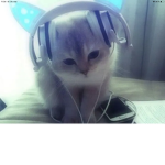 Hi here i play da hood