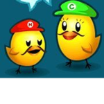 Chicken Bro's