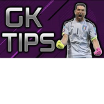 The Hoffenheim Gk Fan Group
