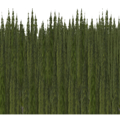 Forest Background fixed Roblox decal
