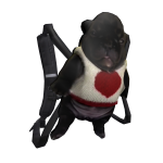 Pibble Backpack [Washington]