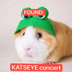 FOUND CONCERT KATSEYE icon