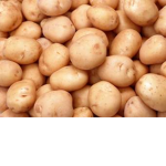 PotatoeSquad