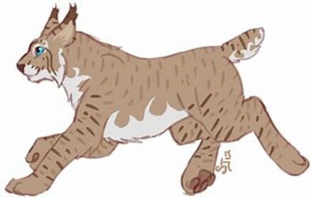 Lynx Legacy's Hangout