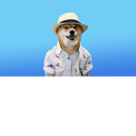 Him's fan group