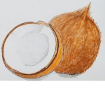 Coconut water Group