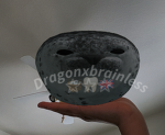 Dragonxbrainless