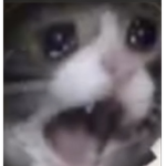 Pipi on cacaE