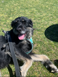 funds for lysia and friends<3