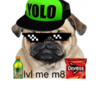 Savage Pug Fan group 😎🤟🏼