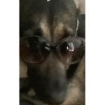 Billybobteam