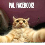 KABROS DEL FACEBOOK