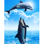#Dolphin