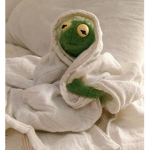 Live love think about kermit