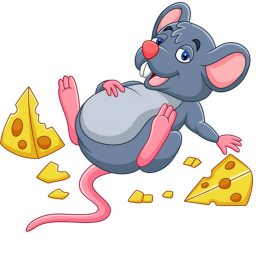 rats wants cheese!