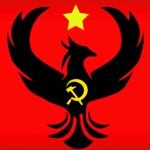 DV Forces