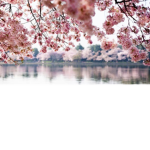 owapril
