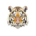 Tiger dadi