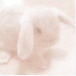 🐰