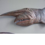 ugly shark fan club