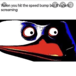 Noob noob only