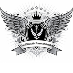 The Elite Air Force of Roblox