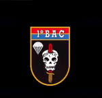[BAC] Batalhão de Ações de Comando | NovaCity