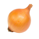 french onion