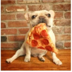 PIZZA PUPPYS