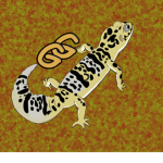 [DL] Desert Lizards