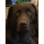 HELLO IM CHARLIE