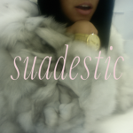 suadestic.