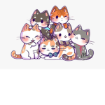 CoolCookieCats611 CLUB