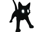The amazing cats.