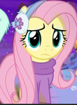 MLP <33