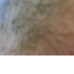 KatsRule