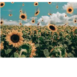 Ch_rry Edits yt aesthetic photo shoot