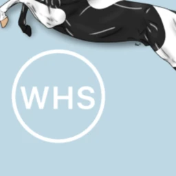 Wild Heart Stables V.2 (New Horse Model!) icon