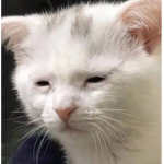오늘의 부대