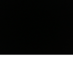 Black Hole X