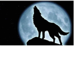Leah Wolf!